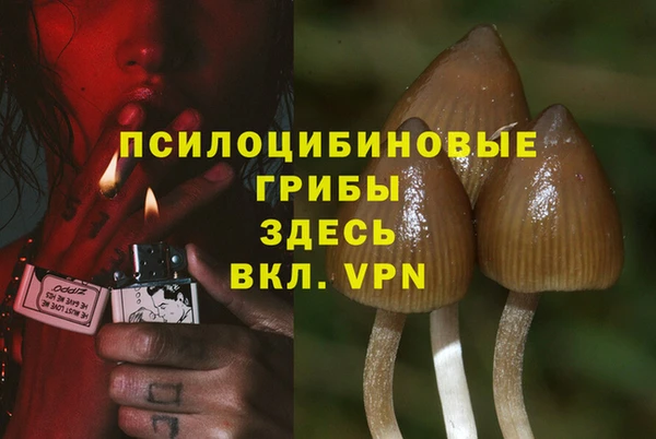 дживик Галич