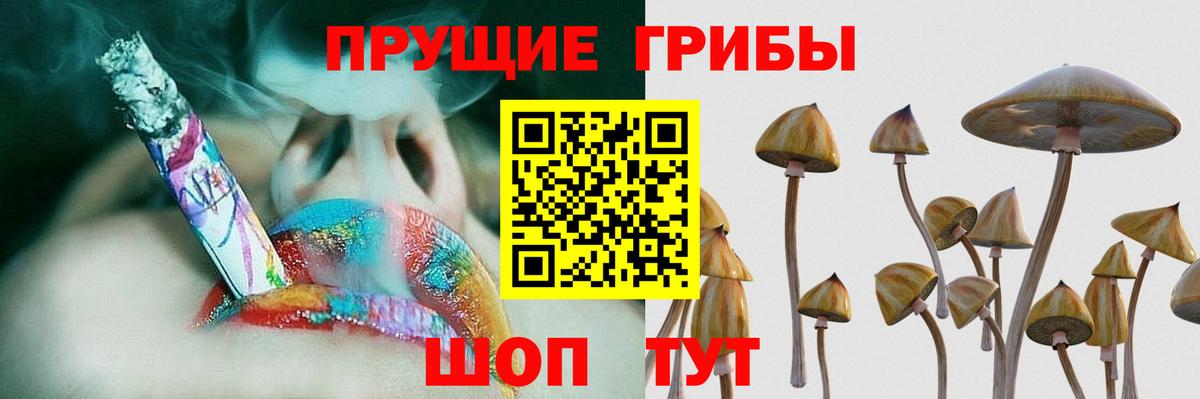 Галлюциногенные грибы Magic Shrooms  где купить наркотик  Джанкой  Вход с VPN 